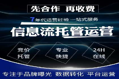 行业领先SEM托管代运营案例